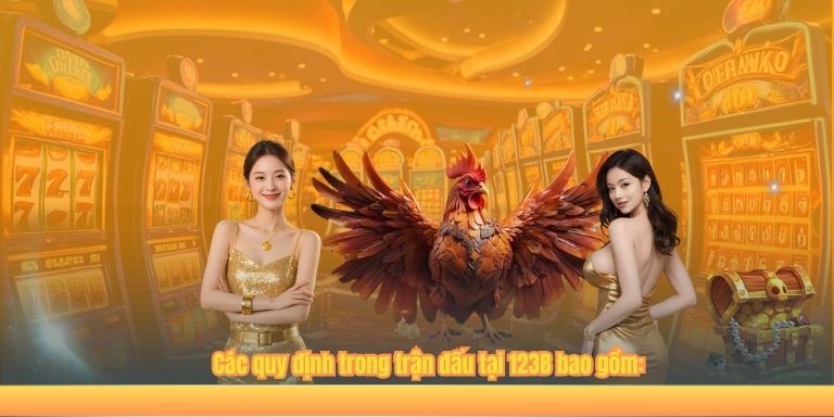 Các quy định trong trận đấu tại 123B bao gồm: