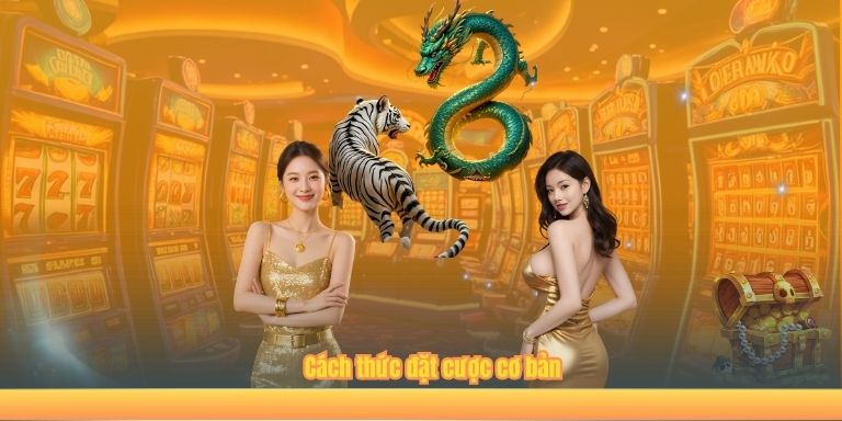 Cách thức đặt cược cơ bản