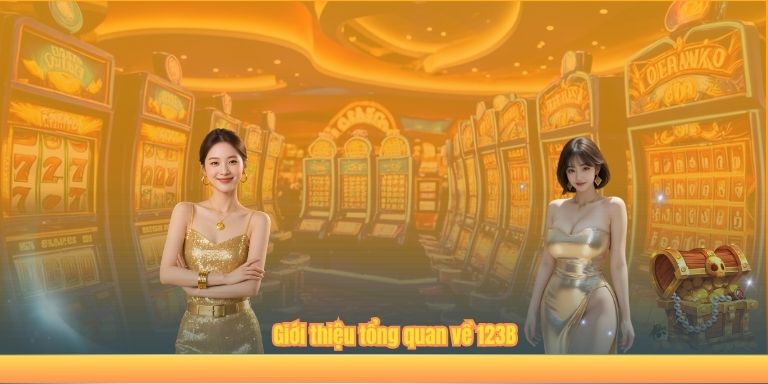 Giới thiệu tổng quan về 123B