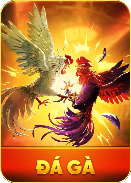 icon đá gà