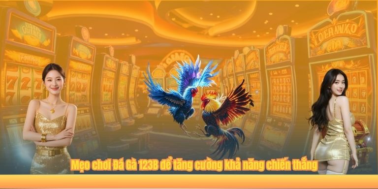 Mẹo chơi Đá Gà 123B để tăng cường khả năng chiến thắng