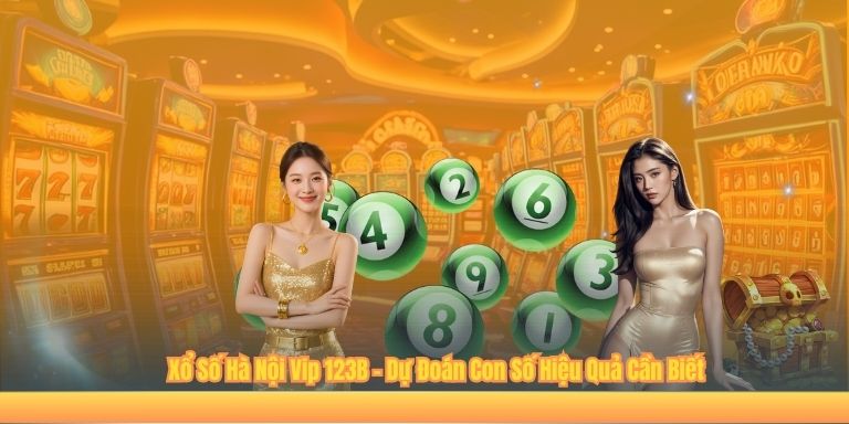 Xổ Số Hà Nội Vip 123B – Dự Đoán Con Số Hiệu Quả Cần Biết